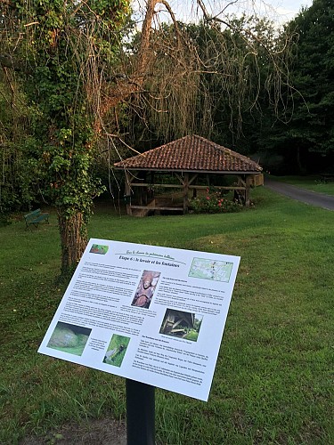 FERNANDES Marie - TALLER - Circuit du Patrimoine (6)