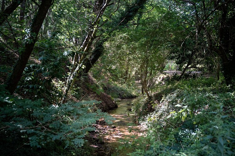 Taller_ESP7432_Yohan_ESPIAUBE