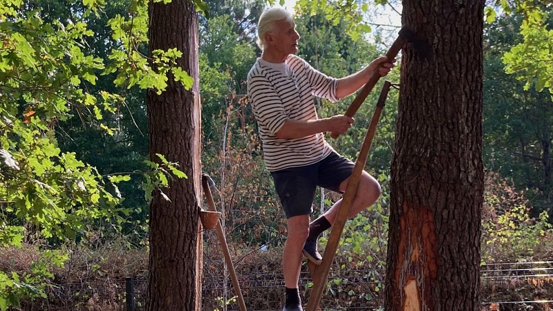 5-Resinier_Pitey_Conservatoire_Landes_Gascogne