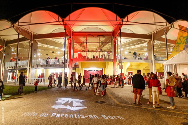 03- ARENES_PARENTIS