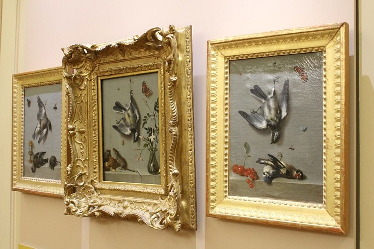 agen-musée-beaux-arts@Benoît Ducos