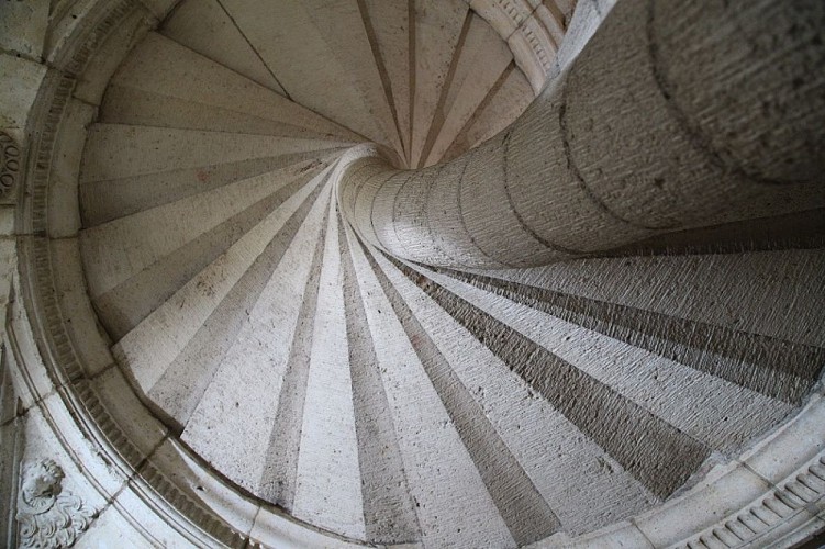 agen-musée-beaux-arts-@Vidéo amplitude