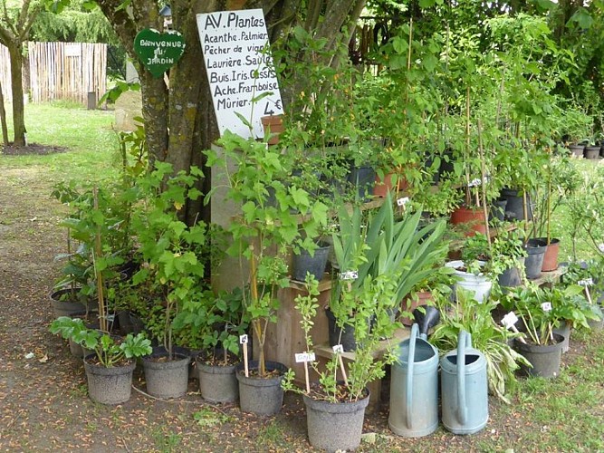 Moulin-Cocussotte--10-