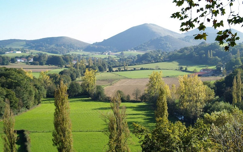 Grottes Isturitz et Oxocelhaya
