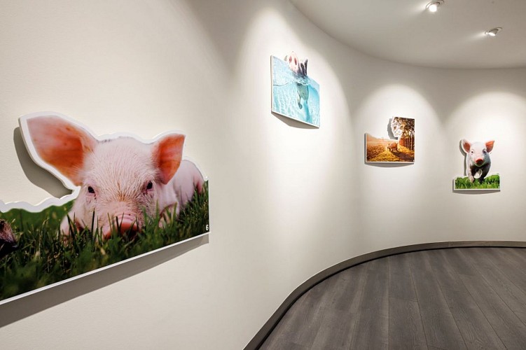 Arzacq Musee Jambon bayonne crédit Studio764-0407