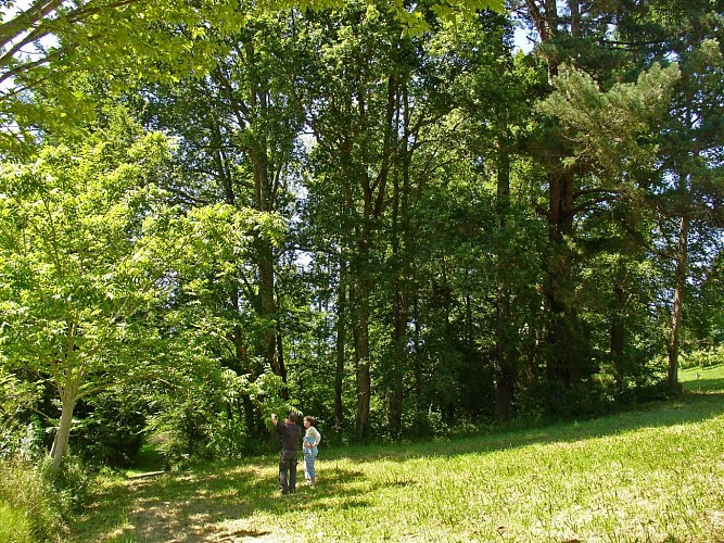 Arboretum de Payssas - Vue 3 (Bourdet Joseph)