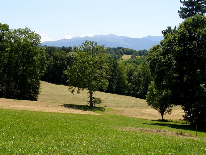 Arboretum de Payssas - Vue 2 (Bourdet Joseph)