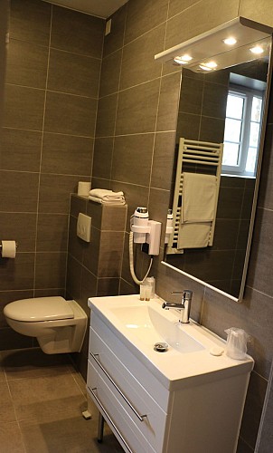 Hôtel Restaurant du Lac_3