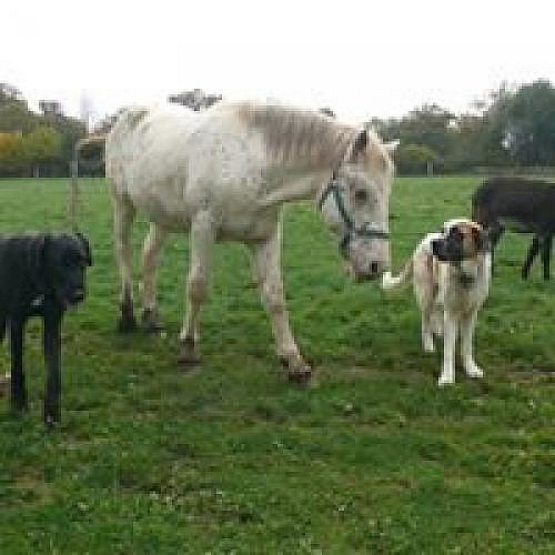 Chambre d'hôte : Les chambres d'Helix