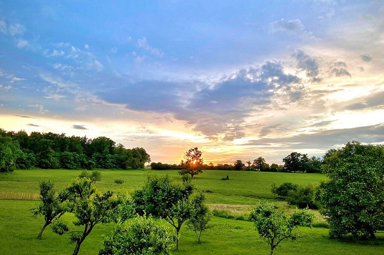 Château du Tirondet 