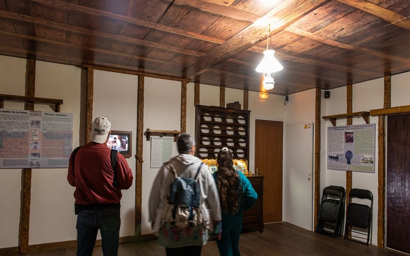 jen_3125_53131470442_o