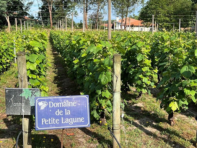 domaine de la petite lagune