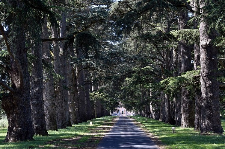 Château Saint-Marcel allée