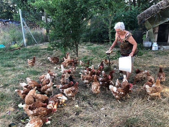 Saint-Aubin-Ferme-de--Crozefond-2--800x600-