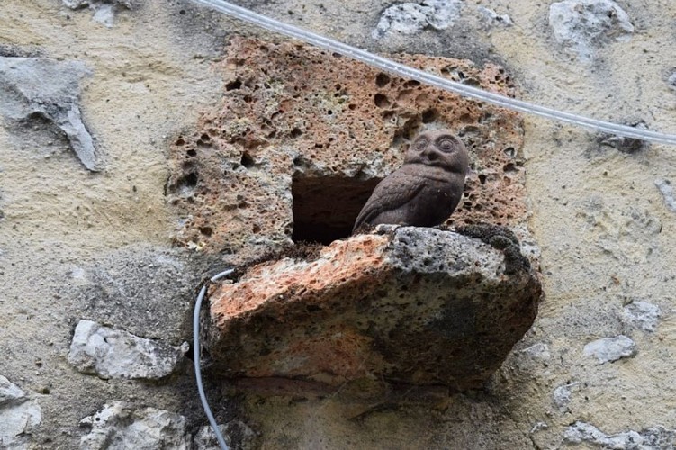 Saint-Aubin-Ferme-de-Crozefond-5--800x600-