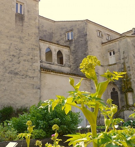 3. La commanderie des Antonins