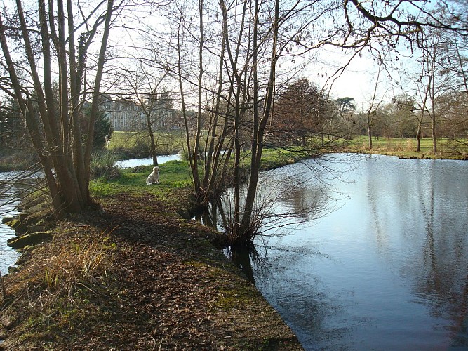 L'Argent et le vieil étang ©tournelay