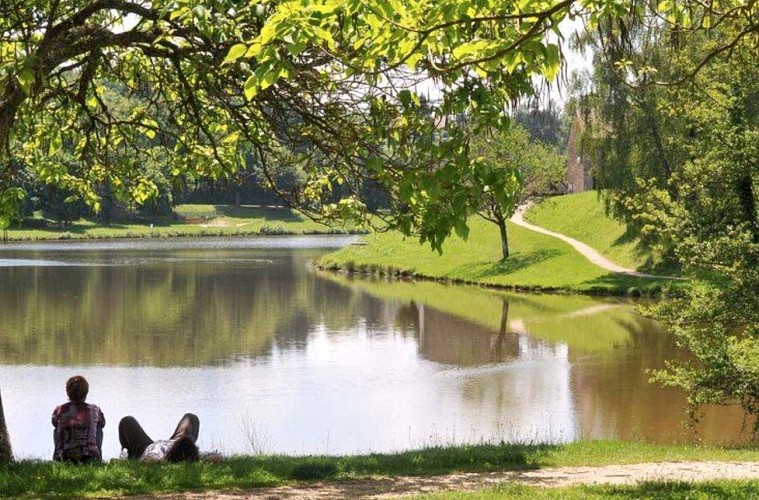 Aire du Camping du lac d'Arfeuille