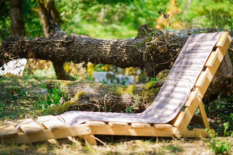Il était une fois au coeur de nos bois