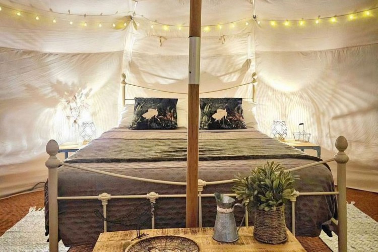 Lotus-at-night-inside-640x480 (1) (1)