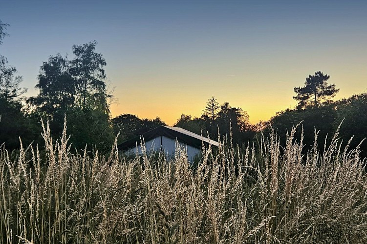 Untitled design_20250929_185747_0000 (2)