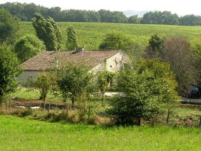 Les 3 Vignobles et sa recette Simplicité, Convivialité et Tranquillité