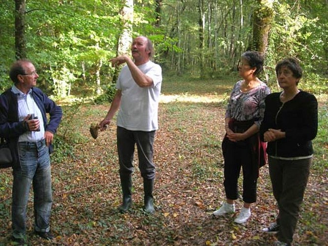 chambre-hote-nature-les3vignobles-palombiereExpliq