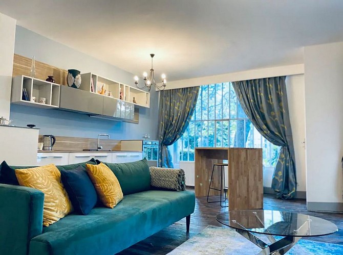 Meublé de Tourisme ROSE Apt J.Ferry-Rdc_1