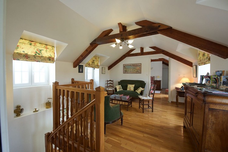 Chambre d'Hôtes Domaine Pédelaborde - Salon (Odile Civit)