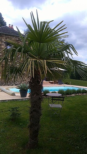 Meublé de Tourisme GÎTE DU TILLEUL_7