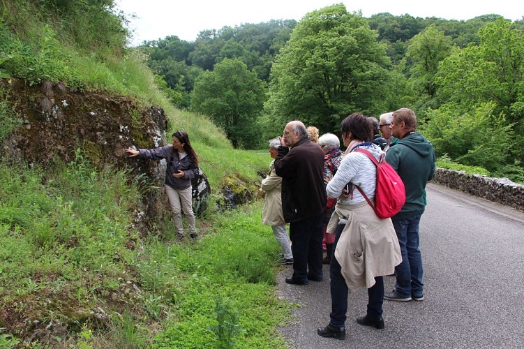 Visite guidée en extérieur de la réserve naturelle_4