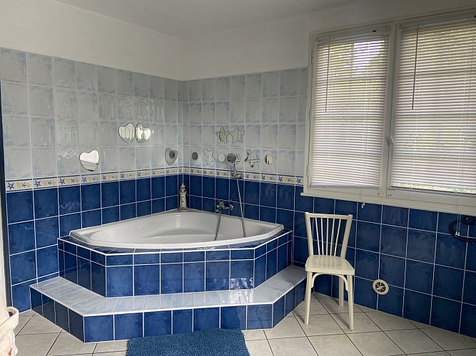 IMG_0948 SALLE DE BAIN_9