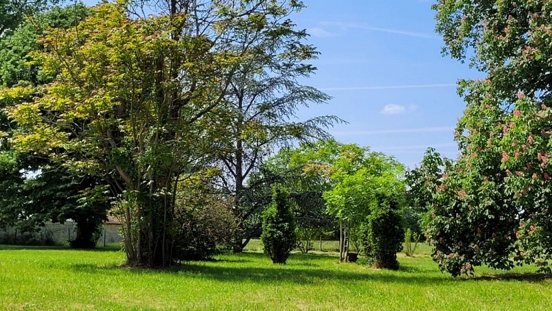 Une vue du parc _ a view of the park