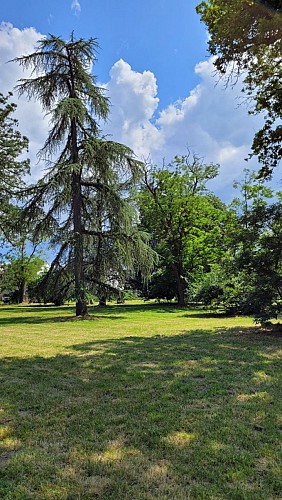 Une vue du parc _ a view of the park
