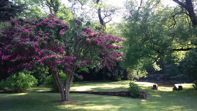 Location Clévacances MAUBEAU