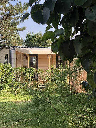 La Forêt - Stella-Plage