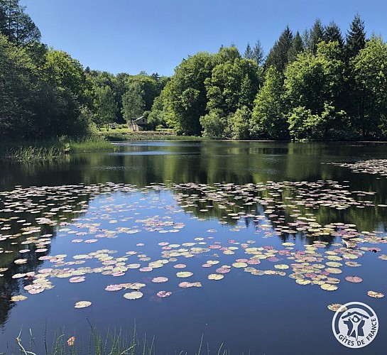 Location Gîtes de France - Réf : 19G4142