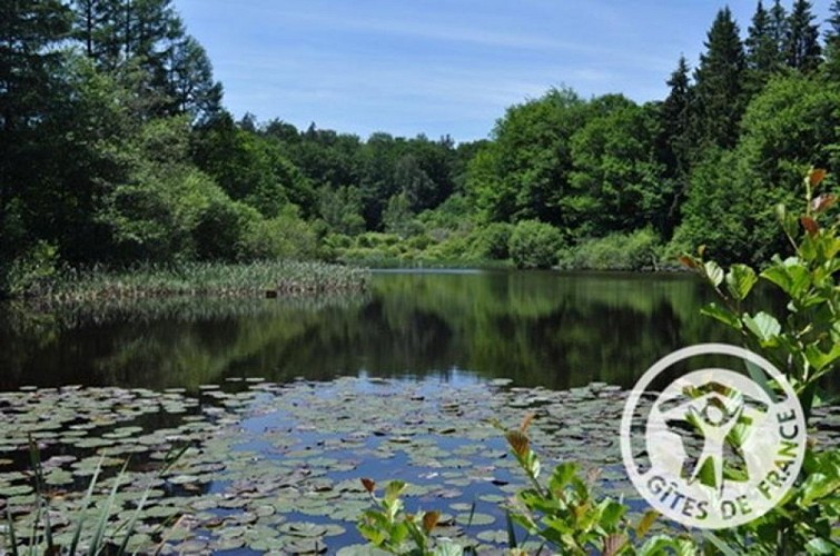 Location Gîtes de France - Réf : 19G4142