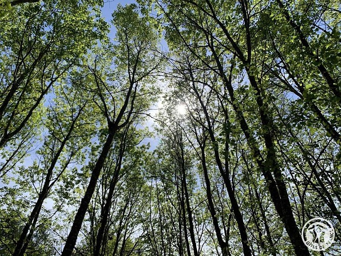 Location Gîtes de France - Réf : 19G4142