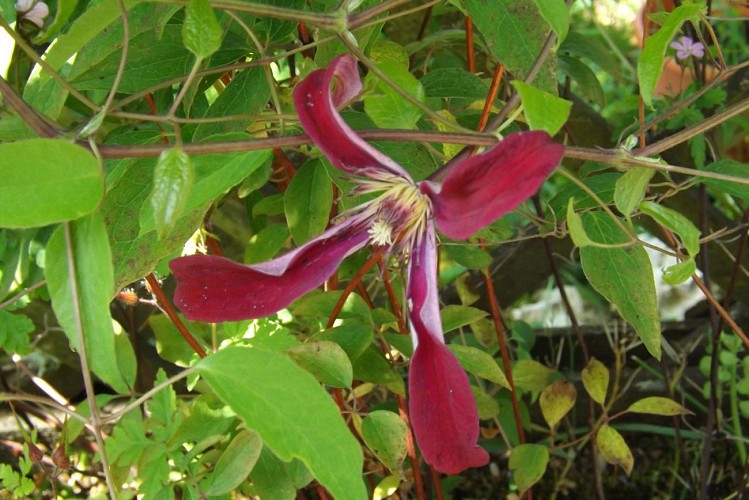 Gîte de la Prairie_4