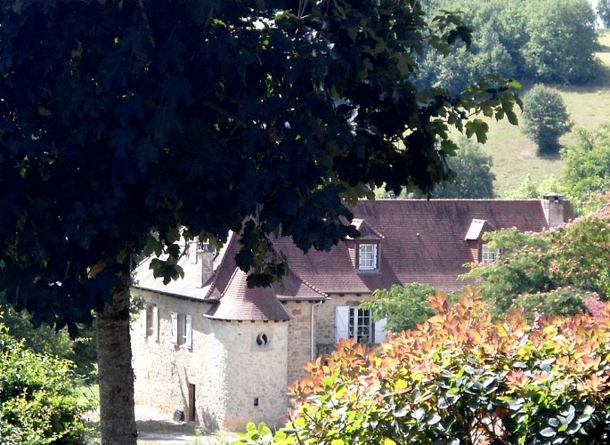 LocationVIGNAIS-Queyssac-les-Vignes_vueMaison_4
