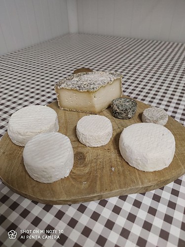 Planche de fromages