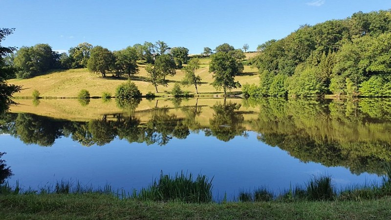 Gîte : HAUTS DE VILLEMALOUX