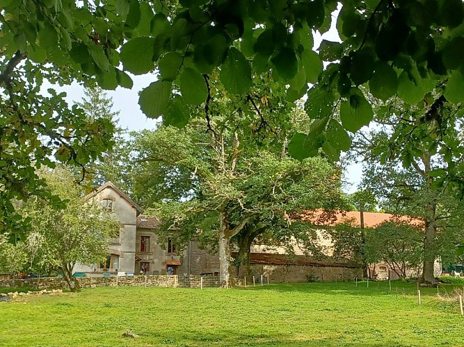 Gite Forestier le Chassaing 01 ©Pierre CARAVANO