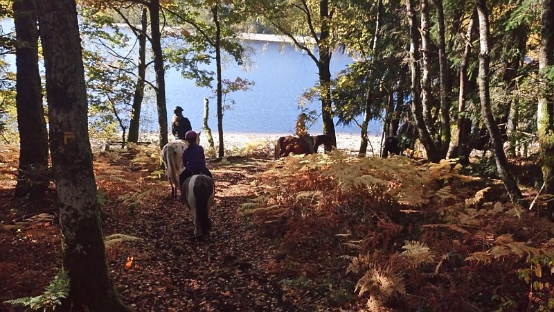 Meublé de tourisme Vassivière à Cheval_2