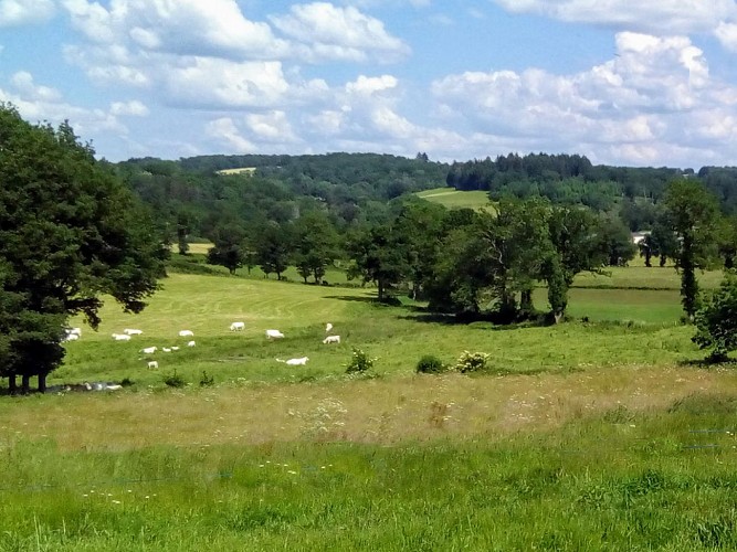 Location "La Petite Ferme du Maureix"
