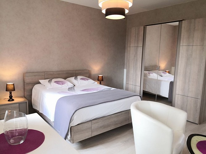 Meublé de Mme Chaussemy 2 appartement_6