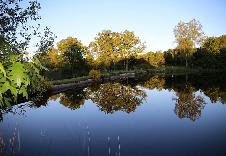 Location de Mireille PEYRONNAUD