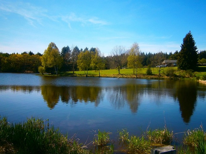 Location de Mireille PEYRONNAUD