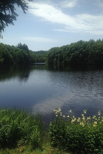 Location de Mireille PEYRONNAUD